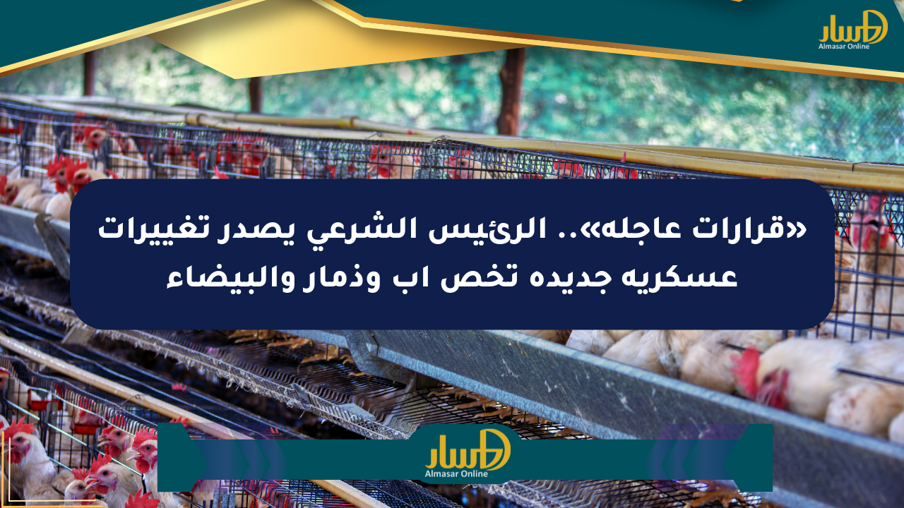 «قرارات عاجلة».. الرئيس الشرعي يصدر تغييرات عسكرية جديدة تخص إب وذمار والبيضاء